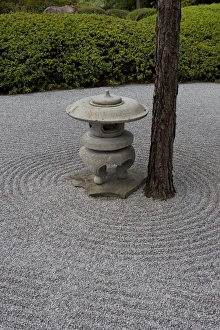 Japanese garden