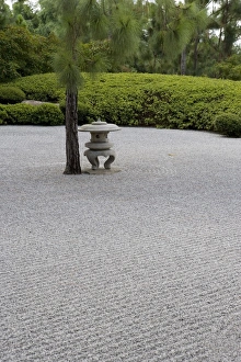 Japanese garden