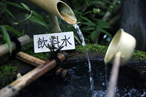 Water Feature Prints: Japanese garden outside the Tokugawa Mausoleum, Nikko, Honshu, Japan, Asia