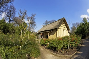 British Isles Prints: Japanese Minka House, Royal Botanic Gardens