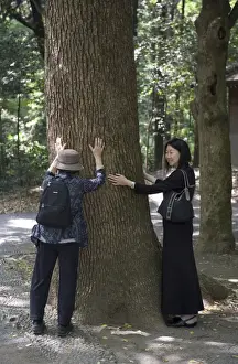 Touching Prints: Japanese Shinto religion understands that all objects have a spirit including the energy in a tree