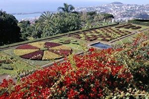 Funchal Prints: Jardim Botanico (Botanical Gardens)