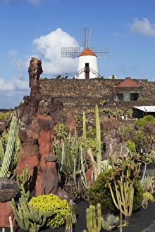 Cacti Prints: Jardin de Cactus (Cactus Garden), Guatiza, Lanzarote, Canary Islands, Spain