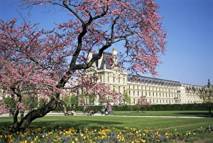 Pari Prints: Jardin des Tuileries and Musee du Louvre, Paris, France, Europe