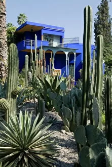 Images Dated 2nd January 2000: Jardin Majorelle
