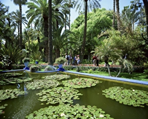Jardin Majorelle