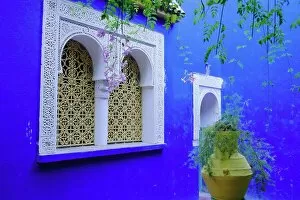Images Dated 6th August 2008: Jardin Majorelle