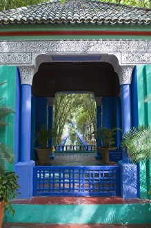 Images Dated 9th April 2010: Jardin Majorelle, Marrakech, Morocco, North Africa, Africa