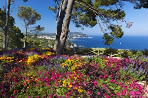 Costa Brava Prints: Jardins Botanico de Cap Roig, Calella de Palafrugell