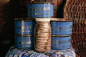 Images Dated 25th February 2008: Jars and tins of anchovies, Desclaux factory, Collioure, Roussillon, France, Europe