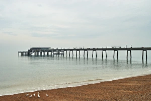 Medium Group Of Animals Prints: Jasins Restaurant, Deal Pier, Deal, Kent, England, United Kingdom, Europe