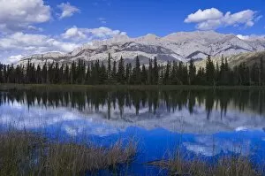 Images Dated 16th August 2005: Jasper National Park, UNESCO World Heritage Site, Alberta, Rocky Mountains