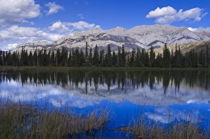 Images Dated 16th August 2005: Jasper National Park, UNESCO World Heritage Site, Alberta, Rocky Mountains