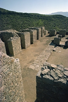 Jaulian site
