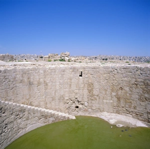 Amman Prints: Jebel al-Qal a (Citadel)