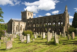 Images Dated 22nd May 2009: Jedburgh Abbey, Jedburgh, Scotland, United Kingdom, Europe