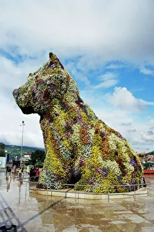 Images Dated 26th January 2000: Jeff Koons Puppy