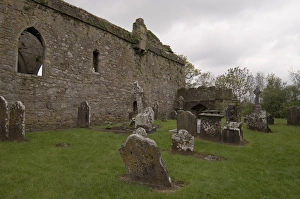 Leinster Prints: Jerpoint Abbey