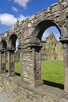 Jerpoint Abbey, County Kilkenny, Leinster, Republic of Ireland, Europe