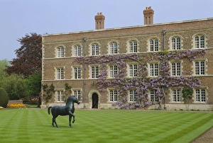 Lawn Prints: Jesus College, Cambridge, Cambridgeshire, England, UK