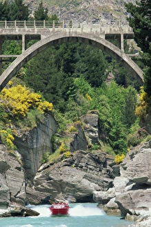 Queenstown Prints: Jet boating, Shotover Jet, Queenstown, South Island, New Zealand, Pacific