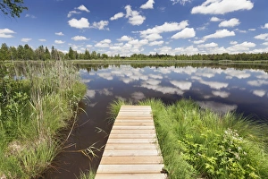 Upper Swabia Prints: Jetty and cumulus clouds, Wurzacher Ried Moor