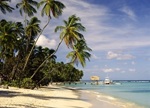 Tobago Prints: Jetty off Pigeon Point