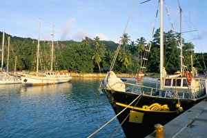Jetty, west coast