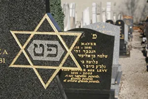 Cemeteries Prints: Jewish graveyard, Lyon, Rhone Alpes, France, Europe