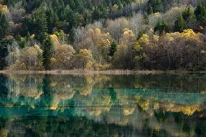 Images Dated 1st November 2009: Jiuzhaigou on the edge of the Tibetan Plateau, known for its waterfalls and colourful lakes