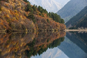 Images Dated 1st November 2009: Jiuzhaigou on the edge of the Tibetan Plateau, known for its waterfalls and colourful lakes