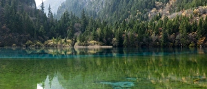 Images Dated 1st November 2009: Jiuzhaigou on the edge of the Tibetan Plateau, known for its waterfalls and colourful lakes