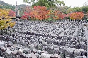 Images Dated 24th November 2009: Jizo stone statues and autumn maple leaves at Adashino Nenbutsu dera temple