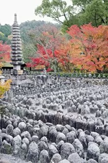 Images Dated 24th November 2009: Jizo stone statues and autumn maple leaves at Adashino Nenbutsu dera temple