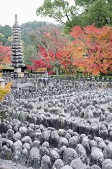 Maple Leaves Prints: Jizo stone statues and autumn maple leaves at Adashino Nenbutsu dera temple