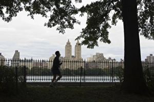 Central Park Prints: Jogger, Central Park