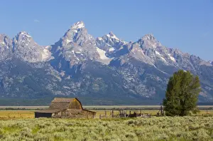 Typically American Prints: John Moulton Barn, Mormon Row, Grand Teton National Park, Wyoming, USA