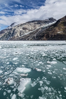 Johns Hopkins Inlet, Fairweather Range, Glacier Bay National Park and Preserve, Southeast Alaska, United States of America, North America