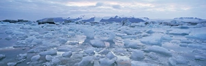 Vatnajokull Prints: Jokulslarlon glacial lagoon