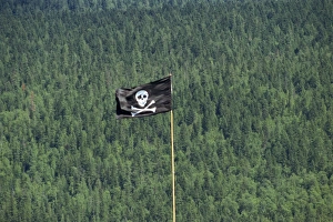 Fluttering Prints: Jolly Roger flag flying at Schuswap Lake, British Columbia, Canada, North America