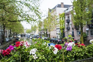 Traditionally Dutch Prints: Jordaan district, Amsterdam, Netherlands, Europe