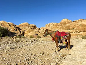 Saddle Prints: Jordanian horse, Petra Archaeological Park