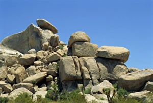 Joshua Tree National Monument