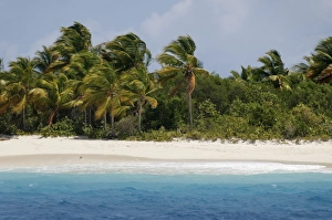 Images Dated 21st March 2009: Jost Van Dyke, the smallest of the four main islands of the British Virgin Islands, West Indies