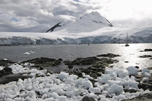 Jougla Point near Port Lockroy, Antarctic Peninsula, Antarctica, Polar Regions