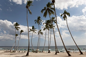 Beach Chair Prints: Juan Dolio, Dominican Republic, West Indies, Caribbean, Central America