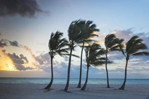 Juanillo Beach, Cap Cana, Punta Cana, Dominican Republic, West Indies, Caribbean