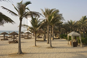 Palm trees, Jumeirah Beach, Dubai, United Arab Emirates, Middle East