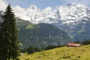 Images Dated 23rd June 2010: Jungfrau massif from Murren, Jungfrau Region, Switzerland, Europe