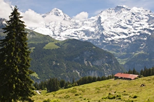 Murren Prints: Jungfrau massif from Murren, Jungfrau Region, Switzerland, Europe